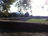 "Unless all of us are free, none of us will be free." - Rosemary Brown 